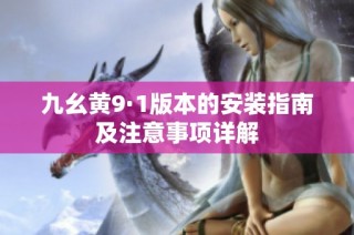 九幺黄9·1版本的安装指南及注意事项详解