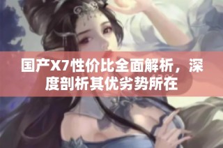 国产X7性价比全面解析，深度剖析其优劣势所在