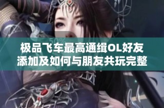 极品飞车最高通缉OL好友添加及如何与朋友共玩完整指南