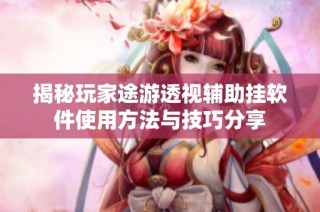 揭秘玩家途游透视辅助挂软件使用方法与技巧分享