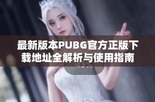 最新版本PUBG官方正版下载地址全解析与使用指南