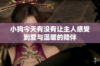 小狗今天有没有让主人感受到爱与温暖的陪伴