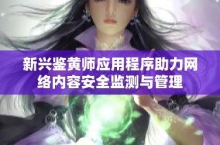 新兴鉴黄师应用程序助力网络内容安全监测与管理