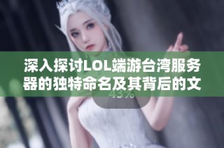 深入探讨LOL端游台湾服务器的独特命名及其背后的文化意义解析