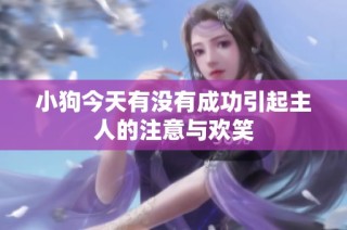 小狗今天有没有成功引起主人的注意与欢笑