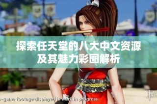 探索任天堂的八大中文资源及其魅力彩图解析
