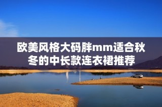 欧美风格大码胖mm适合秋冬的中长款连衣裙推荐