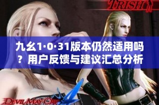 九幺1·0·31版本仍然适用吗？用户反馈与建议汇总分析
