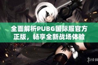 全面解析PUBG国际服官方正版，畅享全新战场体验
