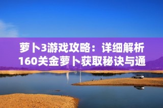 萝卜3游戏攻略：详细解析160关金萝卜获取秘诀与通关技巧