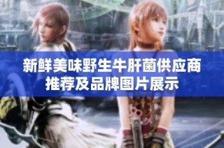 新鲜美味野生牛肝菌供应商推荐及品牌图片展示