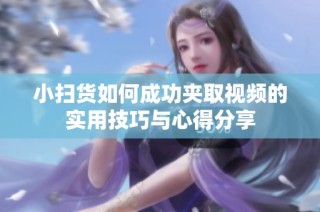 小扫货如何成功夹取视频的实用技巧与心得分享