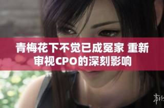 青梅花下不觉已成冤家 重新审视CPO的深刻影响