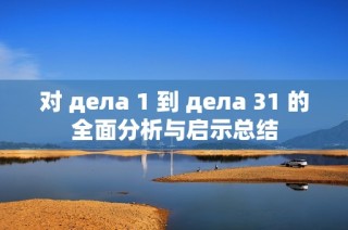 对 дела 1 到 дела 31 的全面分析与启示总结