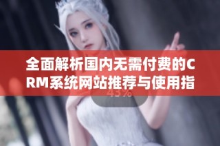全面解析国内无需付费的CRM系统网站推荐与使用指南
