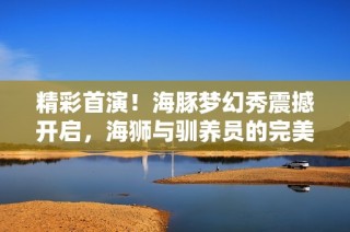 精彩首演！海豚梦幻秀震撼开启，海狮与驯养员的完美互动展现魅力无限