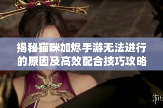 揭秘猫咪加烬手游无法进行的原因及高效配合技巧攻略