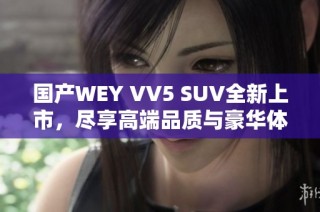 国产WEY VV5 SUV全新上市，尽享高端品质与豪华体验