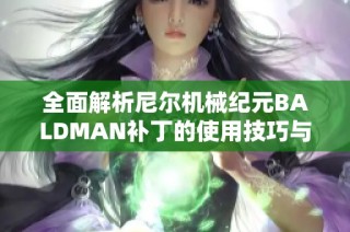 全面解析尼尔机械纪元BALDMAN补丁的使用技巧与方法