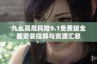 九幺高危风险9.1免费版全面安装指导与资源汇总