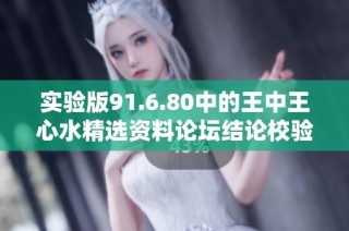 实验版91.6.80中的王中王心水精选资料论坛结论校验管理探讨与分析