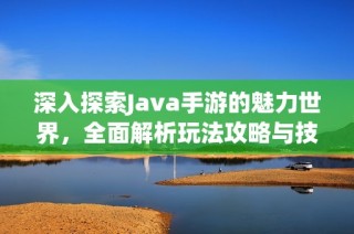 深入探索Java手游的魅力世界，全面解析玩法攻略与技巧分享