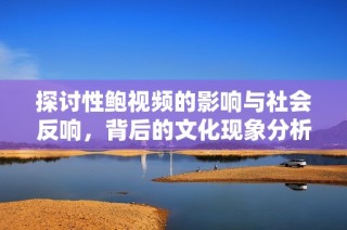 探讨性鲍视频的影响与社会反响，背后的文化现象分析