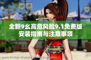 全新9幺高危风险9.1免费版安装指南与注意事项