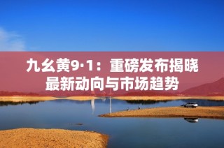 九幺黄9·1：重磅发布揭晓最新动向与市场趋势