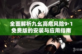全面解析九幺高危风险9·1免费版的安装与应用指南
