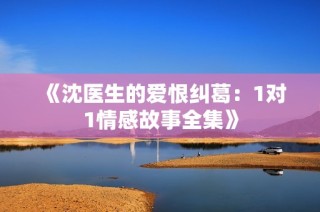 《沈医生的爱恨纠葛：1对1情感故事全集》