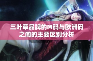 三叶草品牌的M码与欧洲码之间的主要区别分析