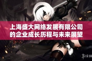 上海盛大网络发展有限公司的企业成长历程与未来展望