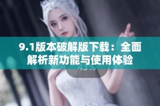 9.1版本破解版下载：全面解析新功能与使用体验