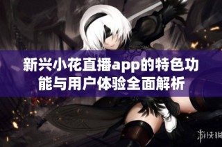 新兴小花直播app的特色功能与用户体验全面解析
