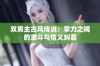 双男主古风传说：掌力之间的激斗与情义纠葛