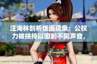 汪海林剖析饭圈现象：公权力被挟持以围剿不同声音，亟待警惕与反思
