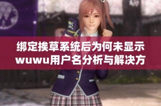 绑定挨草系统后为何未显示wuwu用户名分析与解决方案
