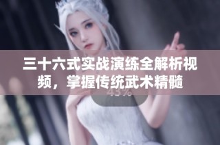 三十六式实战演练全解析视频，掌握传统武术精髓