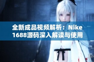 全新成品视频解析：Nike1688源码深入解读与使用技巧