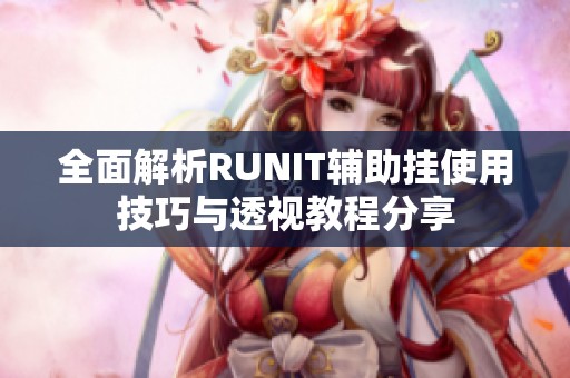 全面解析RUNIT辅助挂使用技巧与透视教程分享
