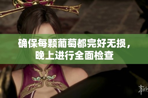 确保每颗葡萄都完好无损，晚上进行全面检查