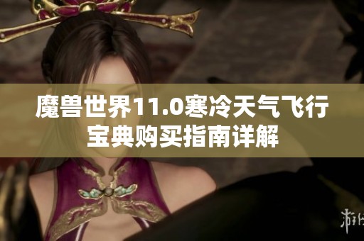 魔兽世界11.0寒冷天气飞行宝典购买指南详解