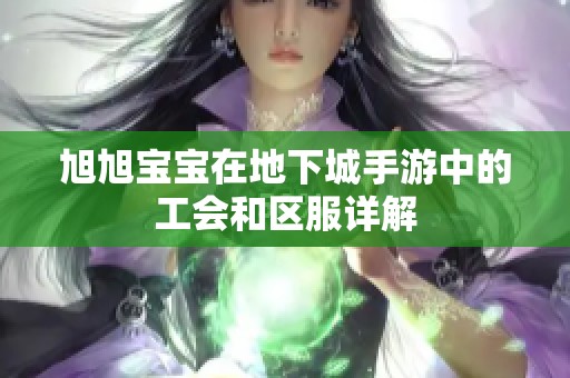 旭旭宝宝在地下城手游中的工会和区服详解