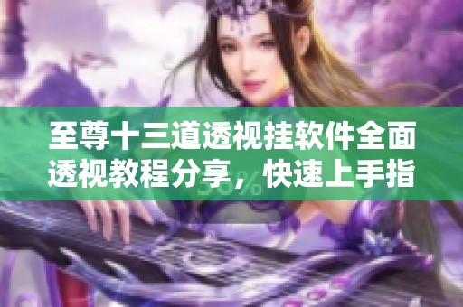 至尊十三道透视挂软件全面透视教程分享，快速上手指南