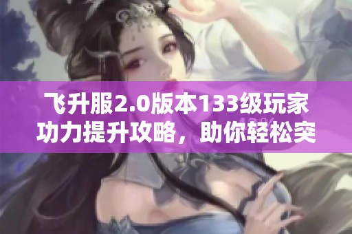 飞升服2.0版本133级玩家功力提升攻略，助你轻松突破1400+