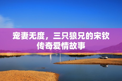 宠妻无度，三只狼兄的宋钦传奇爱情故事
