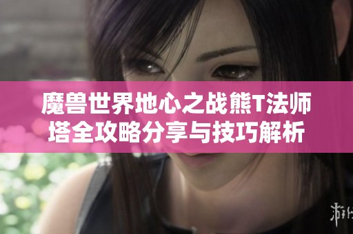 魔兽世界地心之战熊T法师塔全攻略分享与技巧解析