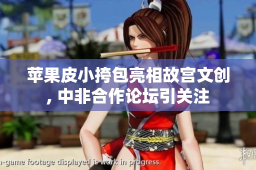 苹果皮小挎包亮相故宫文创, 中非合作论坛引关注