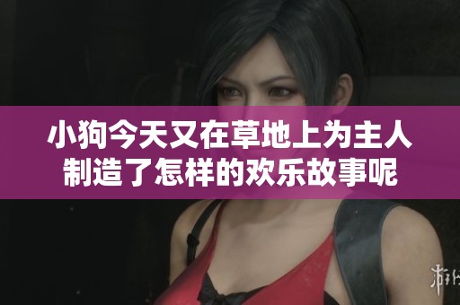 小狗今天又在草地上为主人制造了怎样的欢乐故事呢